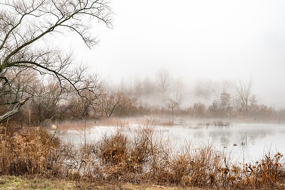 December Pond Middle Creek