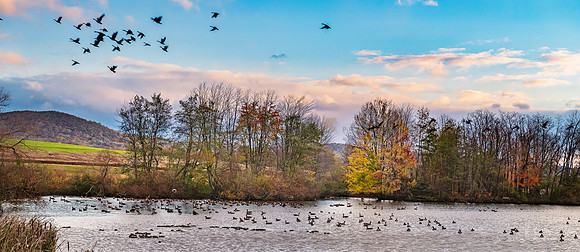 November Sky Middle Creek