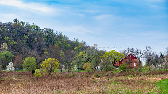 Red Barn Spring