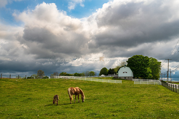 May Morning