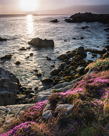 Coastal Scene Pacific Grove