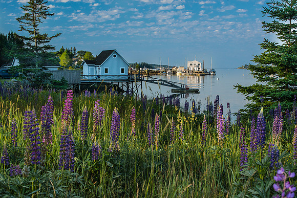 Mill Cove Sunrise