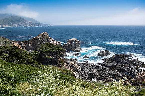 Big Sur Summer