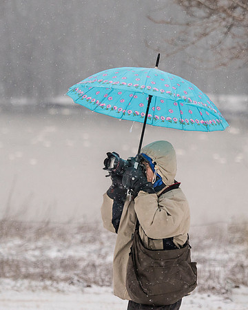 Photo Guy